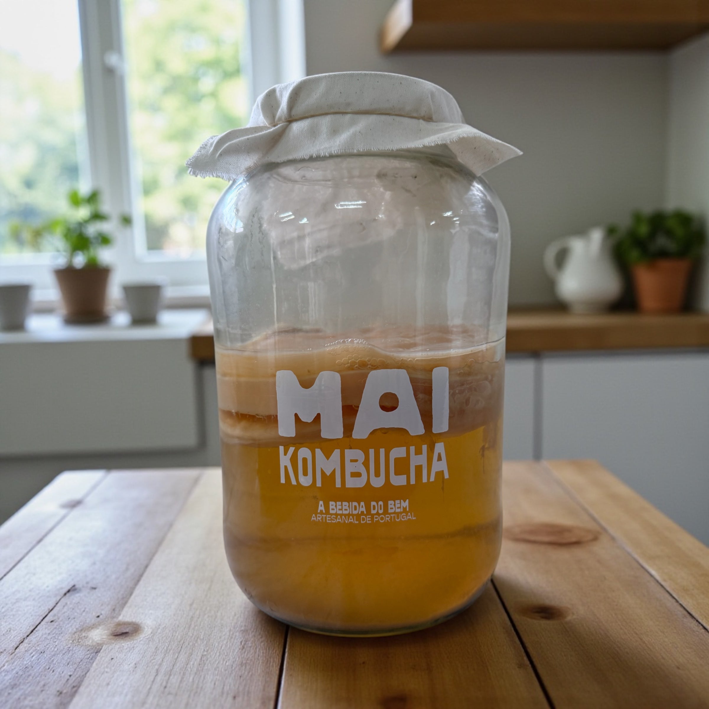 Kit MAI Kombucha